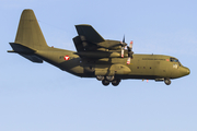 Austrian Air Force Lockheed C-130K Hercules (8T-CB) at  Gran Canaria, Spain