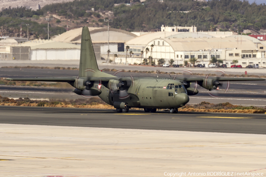Austrian Air Force Lockheed C-130K Hercules (8T-CC) | Photo 197020