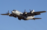 Austrian Air Force Lockheed C-130K Hercules (8T-CC) at  Gran Canaria, Spain