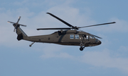 United States Army Sikorsky UH-60L Black Hawk (90-26246) at  Dallas - Addison, United States