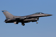 United States Air Force General Dynamics F-16CM Fighting Falcon (91-0341) at  Leeuwarden Air Base, Netherlands