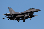 United States Air Force General Dynamics F-16CM Fighting Falcon (91-0409) at  Leeuwarden Air Base, Netherlands