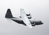 United States Air Force Lockheed C-130H Hercules (91-1236) at  Detroit - Willow Run, United States