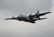 United States Air Force Lockheed C-130H Hercules (91-1236) at  Detroit - Willow Run, United States