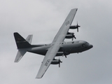 United States Air Force Lockheed C-130H Hercules (91-1236) at  Detroit - Willow Run, United States