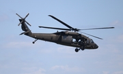 United States Army Sikorsky UH-60L Black Hawk (91-26331) at  Lakeland - Regional, United States