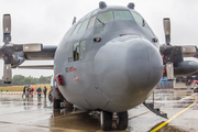 United States Air Force Lockheed C-130H Hercules (92-1531) at  Geilenkirchen, Germany
