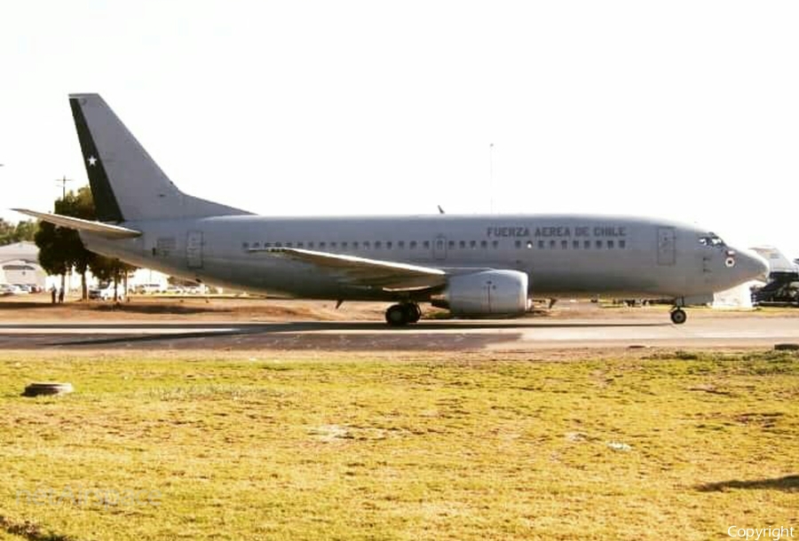 Chilean Air Force (Fuerza Aerea De Chile) Boeing 737-330(QC) (922) | Photo 139510