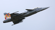 Czech Air Force SAAB JAS 39C Gripen (9238) at  Rostock-Laage, Germany