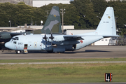 Japan Air Self-Defense Force Lockheed KC-130H Hercules (95-1083) at  Nagoya - Komaki, Japan