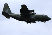 Republic of Korea Air Force Lockheed C-130H Hercules (95-181) at  Seoul - East-Sinchorni, South Korea