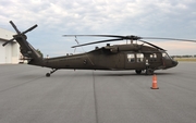 United States Army Sikorsky UH-60L Black Hawk (95-26601) at  Orlando - Executive, United States