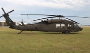 United States Army Sikorsky UH-60L Black Hawk (95-26610) at  Orlando - Executive, United States