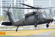 United States Army Sikorsky UH-60L Black Hawk (95-26637) at  San Juan - Fernando Luis Ribas Dominicci (Isla Grande), Puerto Rico