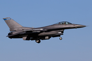 United States Air Force General Dynamics F-16CJ Fighting Falcon (96-0081) at  Leeuwarden Air Base, Netherlands