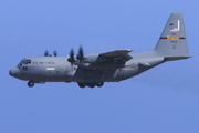 United States Air Force Lockheed C-130H Hercules (96-1005) at  Gran Canaria, Spain