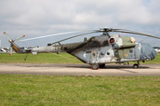 Czech Air Force Mil Mi-171Sh Hip-H (9767) at  Nordholz - NAB, Germany