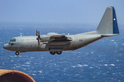 Chilean Air Force (Fuerza Aerea De Chile) Lockheed C-130H Hercules (995) at  Gran Canaria, Spain