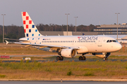 Croatia Airlines Airbus A319-112 (9A-CTL) at  Frankfurt am Main, Germany