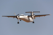 Air CM Global de Havilland Canada DHC-8-102 (9H-ALM) at  Luqa - Malta International, Malta