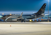 Air X Charter Boeing 737-7BC(BBJ) (9H-ELF) at  Dallas/Ft. Worth - International, United States