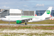 Hi Fly Malta Airbus A319-112 (9H-LOL) at  Hamburg - Finkenwerder, Germany