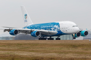 Hi Fly Malta Airbus A380-841 (9H-MIP) at  Dresden, Germany