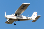 Malta School of Flying Tecnam P92 JS Echo (9H-MSF) at  Luqa - Malta International, Malta