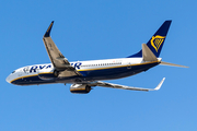 Malta Air (Ryanair) Boeing 737-8AS (9H-QCD) at  Luqa - Malta International, Malta