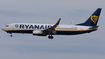 Malta Air (Ryanair) Boeing 737-8AS (9H-QDN) at  Olbia - Costa Smeralda, Italy