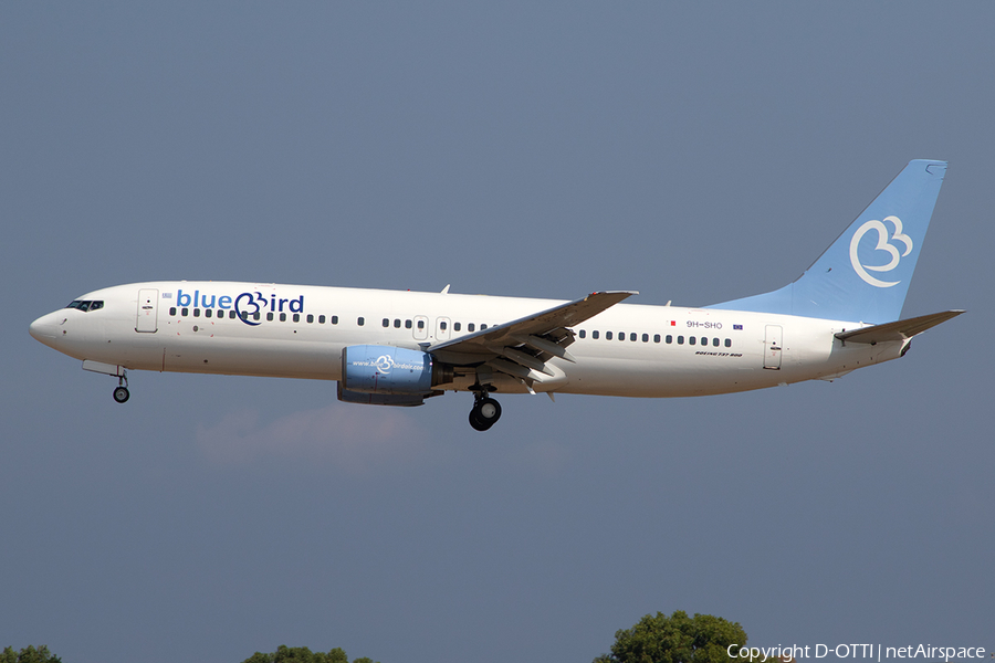 Bluebird Airways Boeing 737-85F (9H-SHO) | Photo 346246