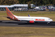 Malindo Air Boeing 737-8GP (9M-LCJ) at  Sydney - Kingsford Smith International, Australia