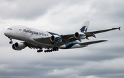 Malaysia Airlines Airbus A380-841 (9M-MNE) at  London - Heathrow, United Kingdom