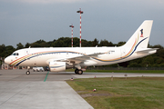 Royal Malaysian Air Force Airbus A319-115X CJ (9M-NAA) at  Hamburg - Fuhlsbuettel (Helmut Schmidt), Germany