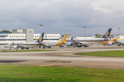 Singapore Airlines Boeing 737-8 MAX (9V-MBG) at  Singapore - Changi, Singapore