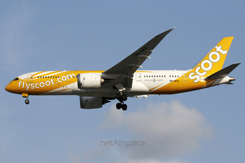 Scoot Boeing 787-8 Dreamliner (9V-OFA) at  Singapore - Changi, Singapore