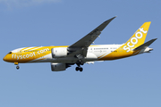 Scoot Boeing 787-8 Dreamliner (9V-OFB) at  Singapore - Changi, Singapore