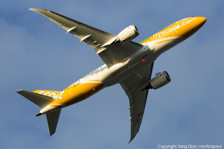 Scoot Boeing 787-8 Dreamliner (9V-OFC) | Photo 171917