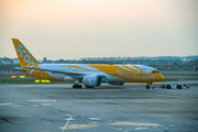 Scoot Boeing 787-8 Dreamliner (9V-OFC) at  Singapore - Changi, Singapore