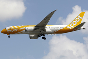 Scoot Boeing 787-8 Dreamliner (9V-OFD) at  Singapore - Changi, Singapore