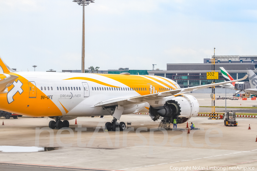 Scoot Boeing 787-8 Dreamliner (9V-OFE) | Photo 437954