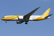 Scoot Boeing 787-8 Dreamliner (9V-OFE) at  Singapore - Changi, Singapore