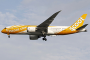 Scoot Boeing 787-8 Dreamliner (9V-OFG) at  Singapore - Changi, Singapore