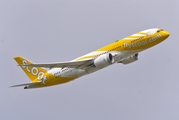 Scoot Boeing 787-8 Dreamliner (9V-OFH) at  Berlin Brandenburg, Germany