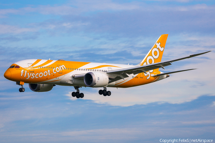 Scoot Boeing 787-8 Dreamliner (9V-OFH) | Photo 524973