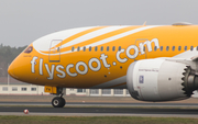 Scoot Boeing 787-8 Dreamliner (9V-OFH) at  Berlin - Tegel, Germany