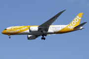 Scoot Boeing 787-8 Dreamliner (9V-OFI) at  Singapore - Changi, Singapore