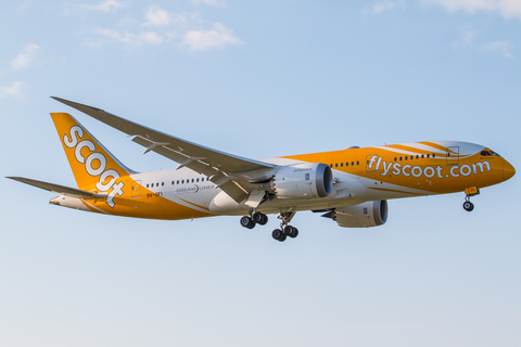 Scoot Boeing 787-8 Dreamliner (9V-OFI) at  Berlin - Tegel, Germany