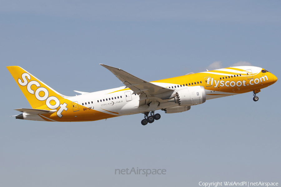 Scoot Boeing 787-8 Dreamliner (9V-OFJ) | Photo 521521