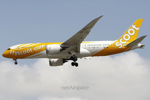 Scoot Boeing 787-8 Dreamliner (9V-OFJ) at  Singapore - Changi, Singapore